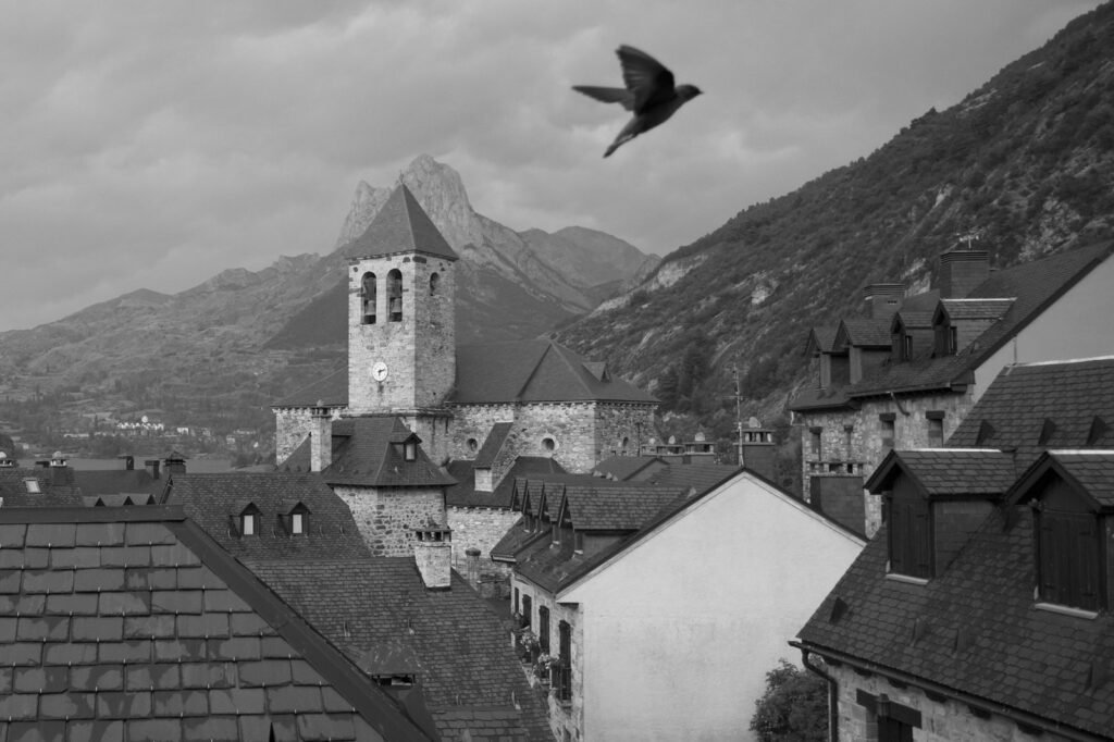 Pájaro en vuelo sobre un campanario de piedra y tejados de pueblo de montaña, en blanco y negro